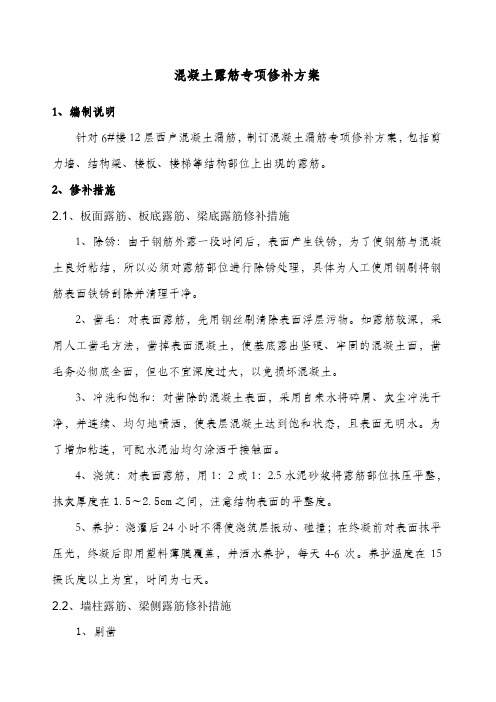 混凝土结构露筋专项修补方案