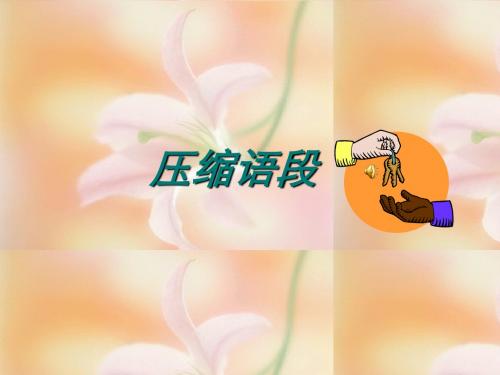 2008届高考语文专题复习压缩语段