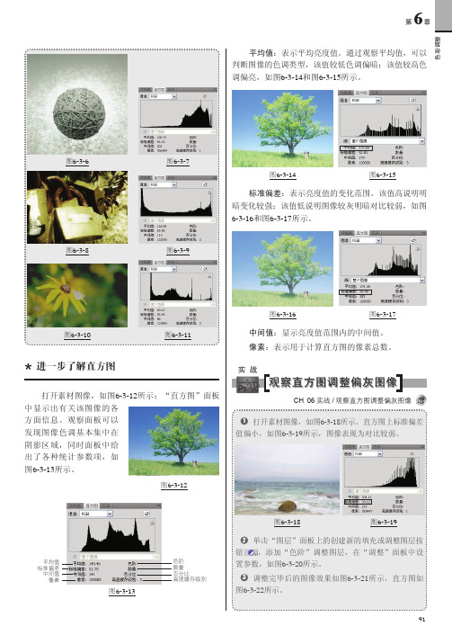 观察直方图调整偏灰图像_中文版Photoshop CS5从新手到高手（超值版）_[共2页]