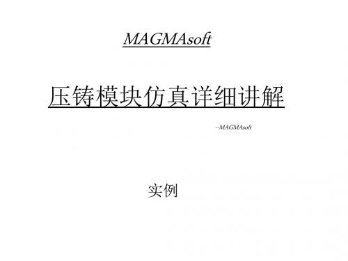 MAGMA压铸模块仿真详细讲解