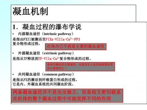 出凝血课件完整版PPT课件