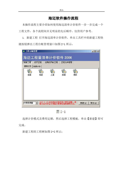 报告海迈软件操作流程.doc