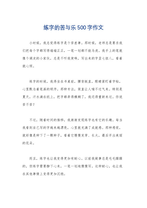 练字的苦与乐500字作文