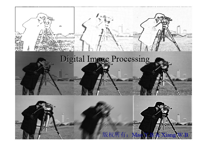 digital image processing(数字图像处理)