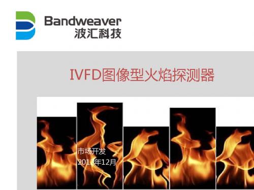 IVFD图像型火焰探测器 2013铁路行业解决方案
