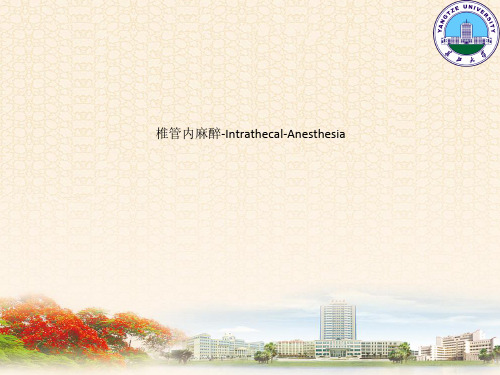 椎管内麻醉-Intrathecal-Anesthesia