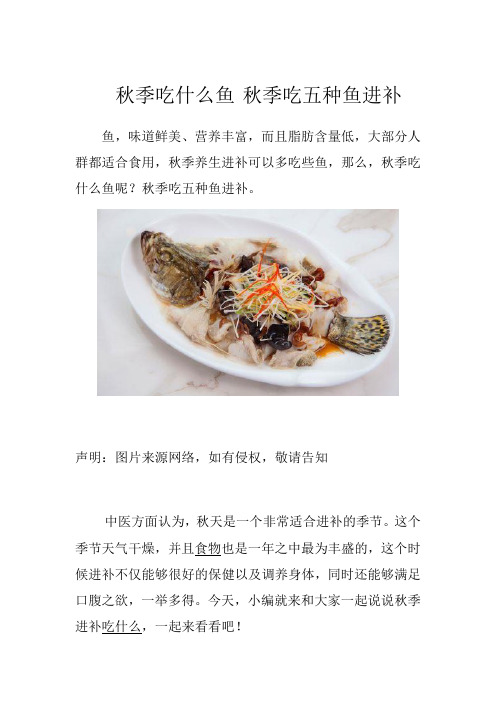 秋季吃什么鱼 秋季吃五种鱼进补