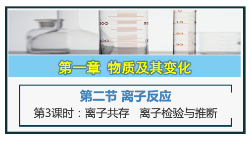 1.2.3 离子共存   离子检验与推断(课件)高一化学(人教版2019必修第一册)