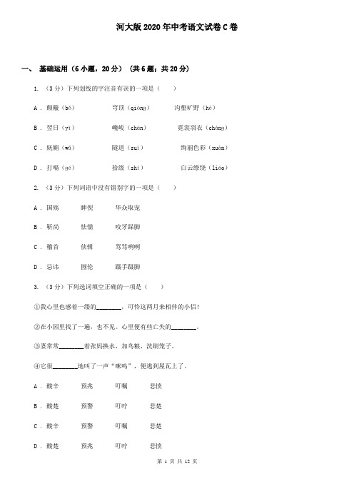 河大版2020年中考语文试卷C卷