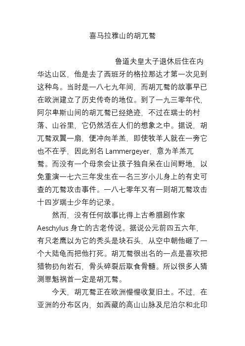 喜马拉雅山的胡兀鹫
