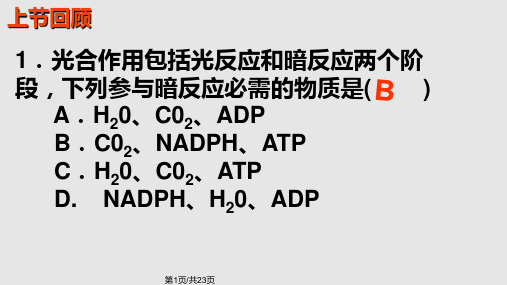 真光合速率和净光合速率PPT课件