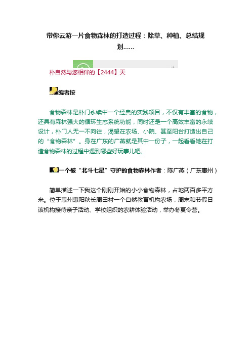 带你云游一片食物森林的打造过程：除草、种植、总结规划......