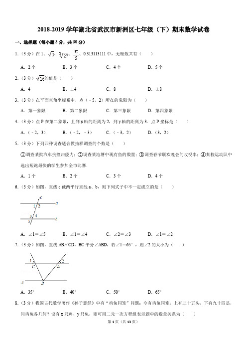 2018-2019学年湖北省武汉市新洲区七年级(下)期末数学试卷