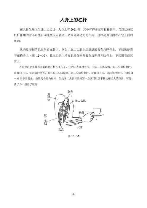 初中物理沪科版物理时空〖人身上的杠杆〗