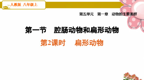 人教版八年级生物上册1.1.2 扁形动物