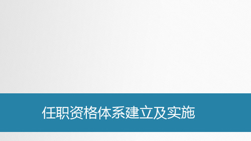 任职资格体系建立及实施 ppt课件