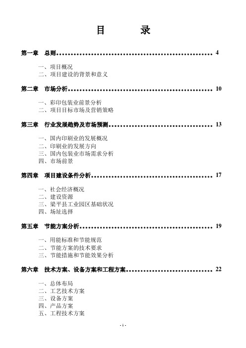 彩印包装生产项目可行性研究报告1.doc
