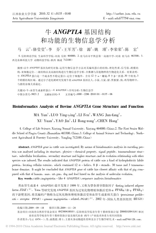 牛ANGPTL4基因结构和功能的生物信息学分析