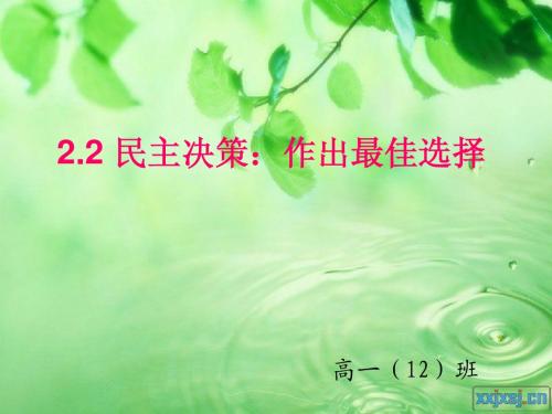 民主决策:做出最佳选择