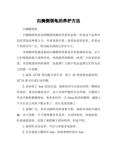 白胸侧颈龟的养护方法