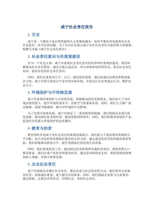 咸宁社会责任报告