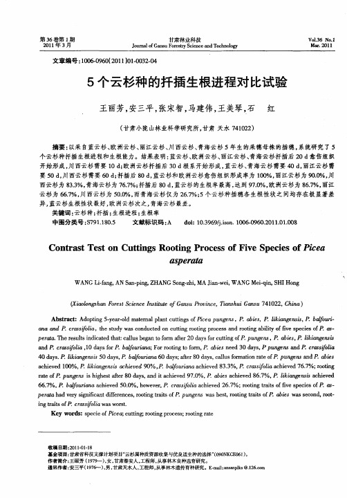 5个云杉种的扦插生根进程对比试验