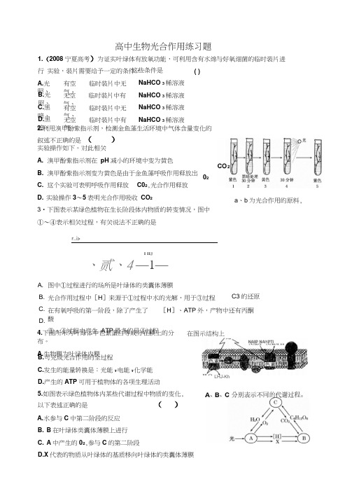 高中生物光合作用精选练习题及讲解