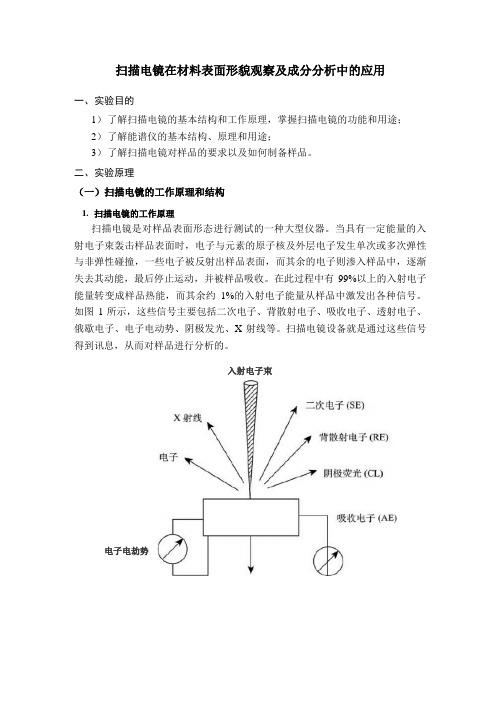 扫描电镜在材料表面形貌观察及成分分析中应用