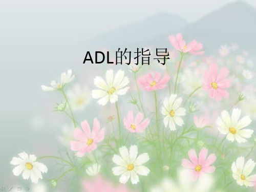 ADL指导