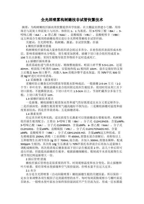 全光照喷雾构树嫩枝非试管快繁技术