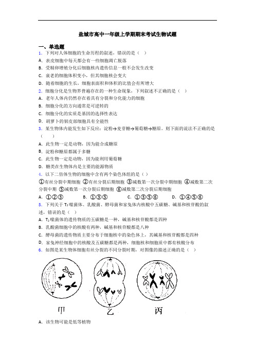 盐城市高中一年级上学期期末考试生物试题