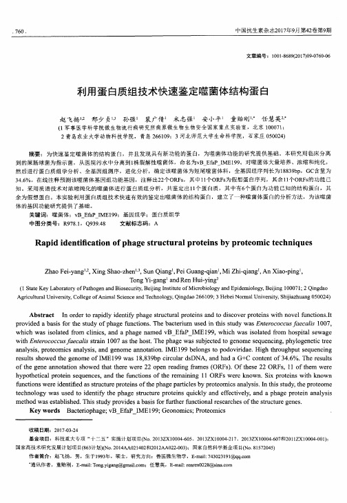 利用蛋白质组技术快速鉴定噬菌体结构蛋白