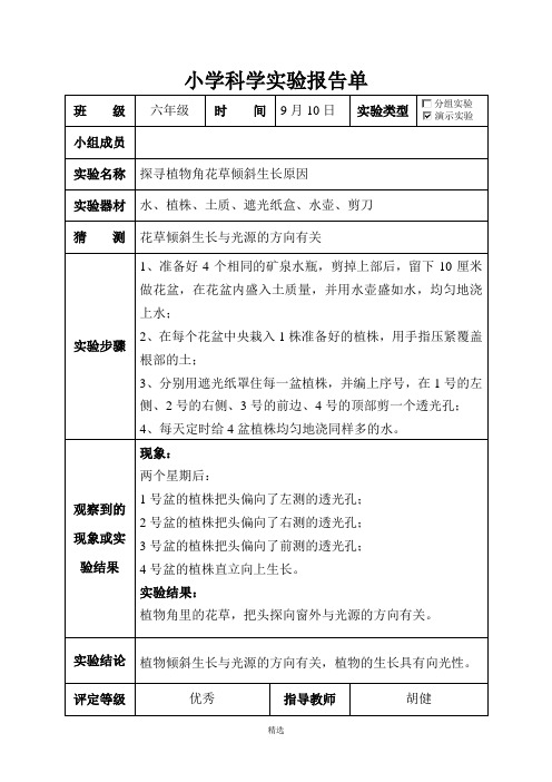 大象版六年级科学上册实验报告单