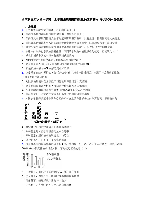 山东聊城市水城中学高一上学期生物细胞的能量供应和利用 单元试卷(含答案)