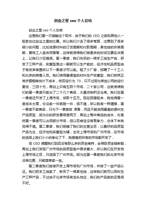 创业之星ceo个人总结