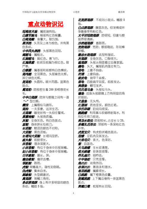 复旦大学通识教育选修课中国海洋与湿地名贵珍稀动物(王金秋)动物特征识记助手