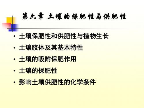 精编土壤肥料学ppt课件第六章 土壤的保肥性与供肥性