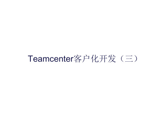 Teamcenter8.1java开发培训(3)