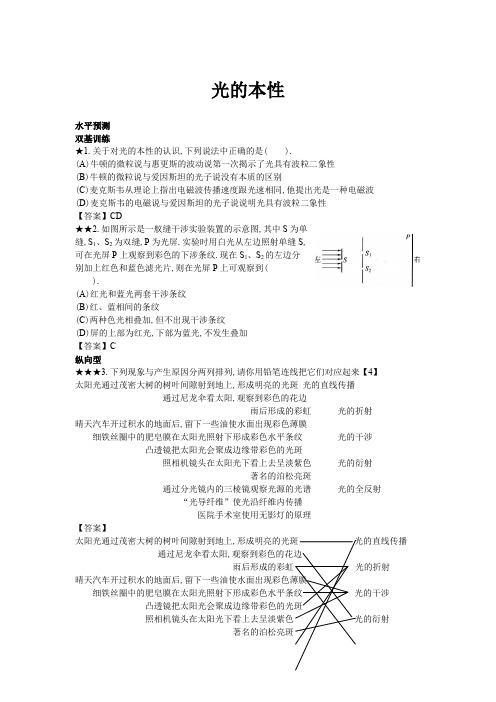 2020年高考物理专题复习(十七)光的本性