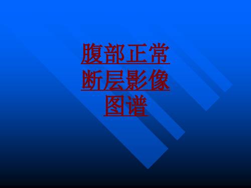 医学腹部正常断层影像图谱PPT培训课件