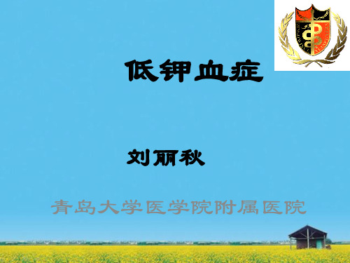 课程资料:低钾血症08华东