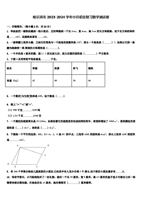 哈尔滨市2023-2024学年小升初总复习数学测试卷含解析