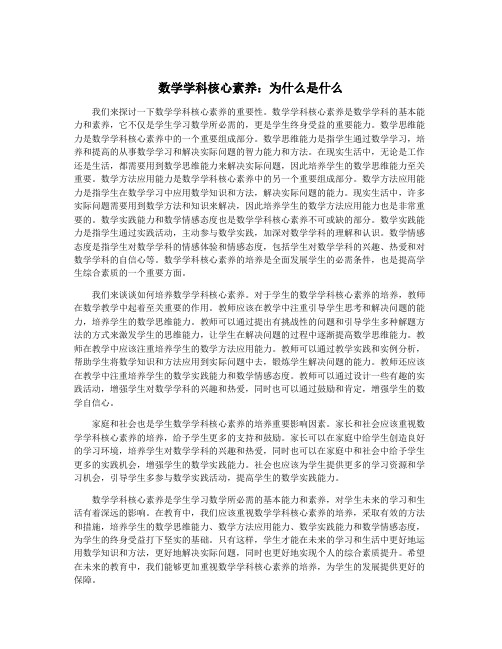 数学学科核心素养：为什么是什么