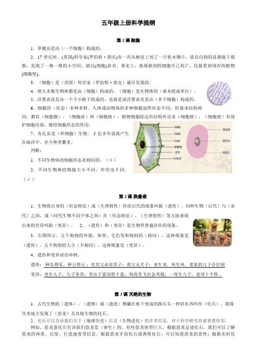 (新教材)青岛版五四制五年级上册科学期末复习提纲完整版(答案)