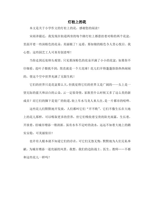 灯柱上的花_小学作文