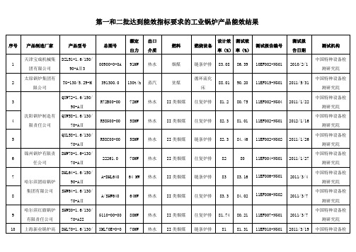 锅炉能效结果