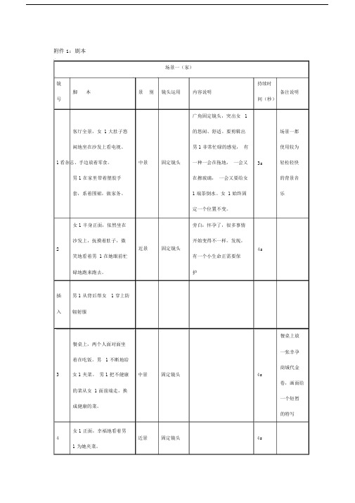 宣传片分镜头剧本.doc