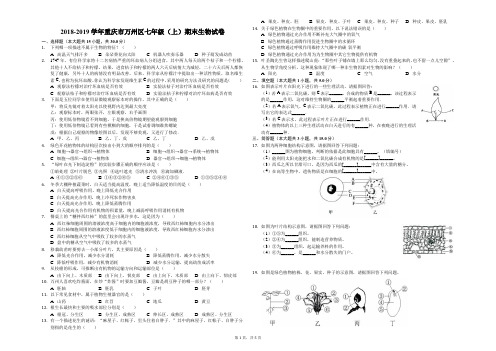 2018-2019学年重庆市万州区七年级(上)期末生物试卷-解析版