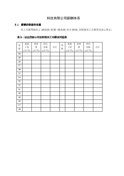 创新科技有限公司薪酬体系(WORD2页)