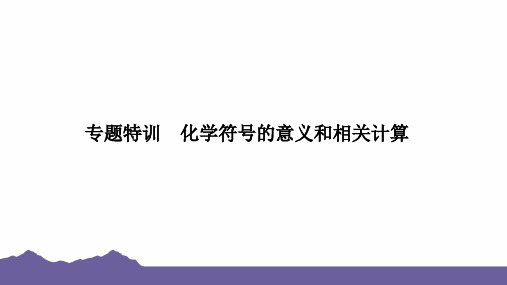 2024年浙江省中考科学二轮复习专题特训课件：化学符号的意义和相关计算